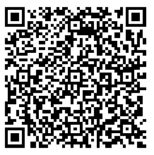 Google Play Store